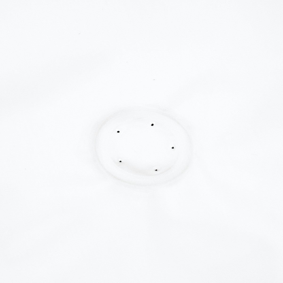 Stand-up pouch white with aroma protection valve