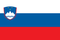 A picture of the flag of Slovenia